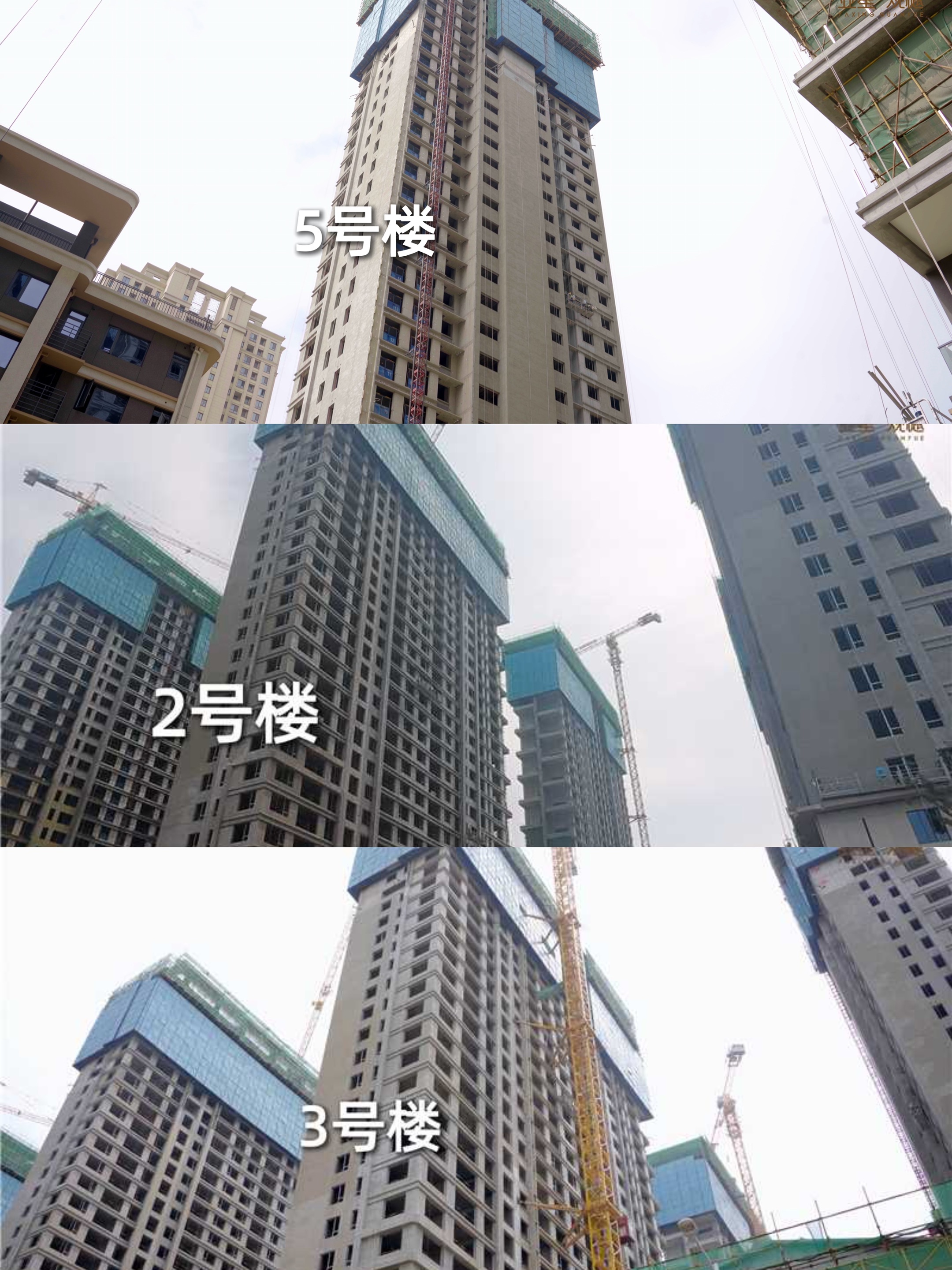 97bcbf26-62d3-4c7d-9cf0-db2616ed990f.jpg