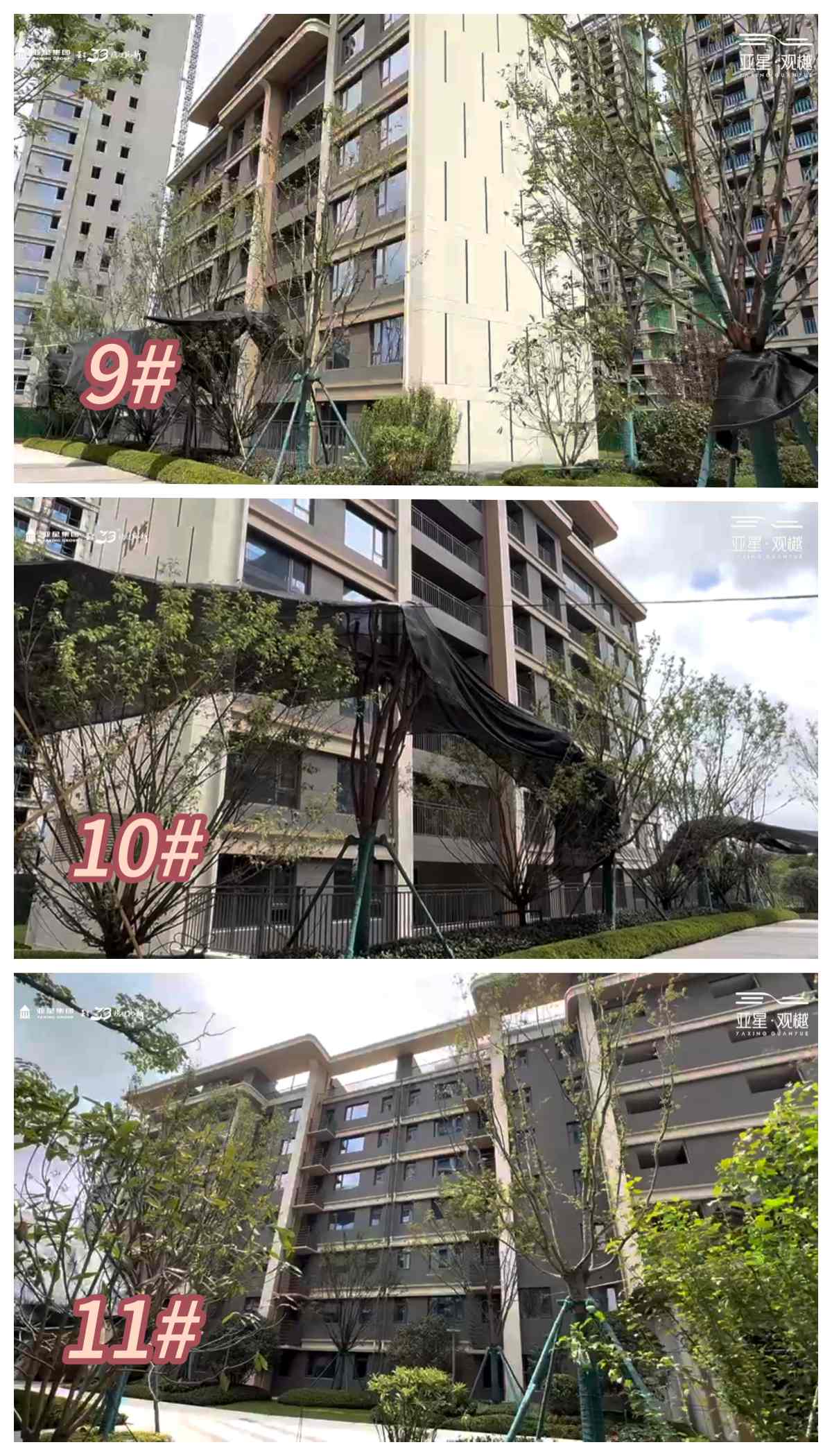 111111111.jpg
